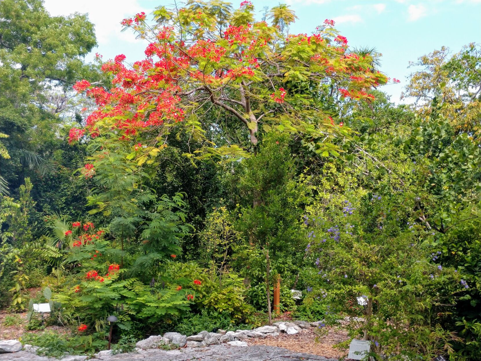 Turning 90: Key West Tropical Forest & Botanical Garden celebrating ...