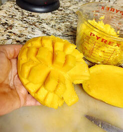 Manabe Mango How to manage mango mania | Features | keysnews.com
