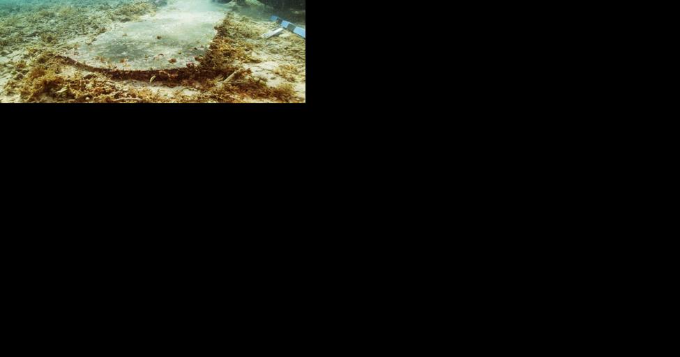 Quarantine hospital, cemetery discovered at Fort Jefferson in Dry Tortugas - Vimarsana News