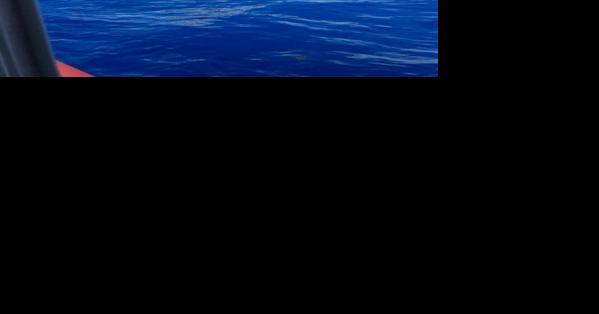 Coast Guard repatriates 84 people to Cuba - Vimarsana News