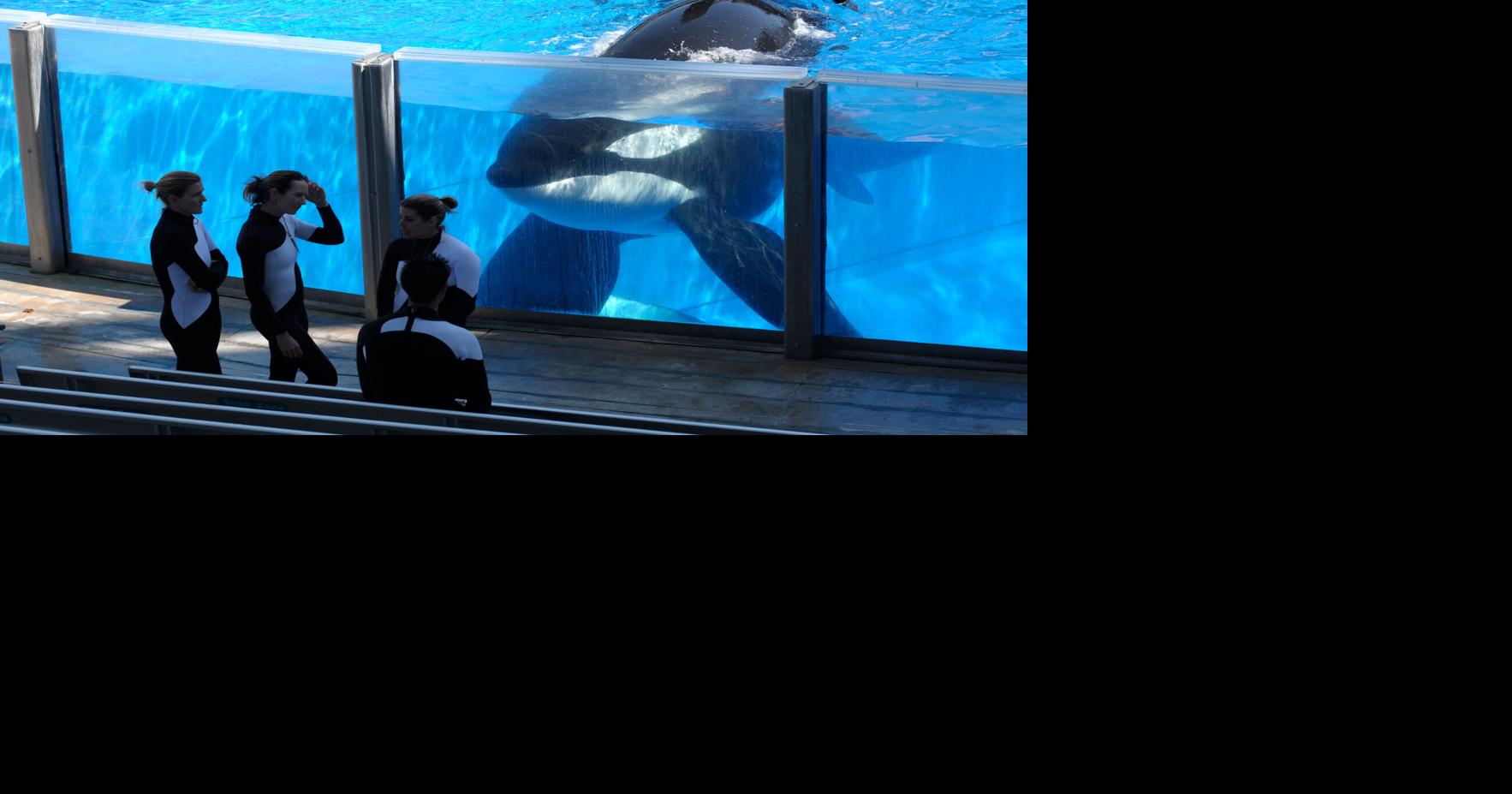 Zoos and aquariums harmful or helpful? Schools