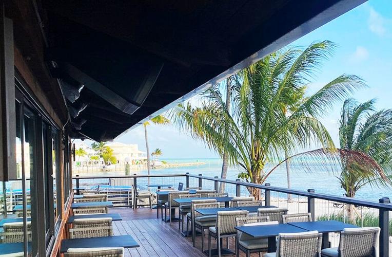 Landmark Safari Lounge reopens Business