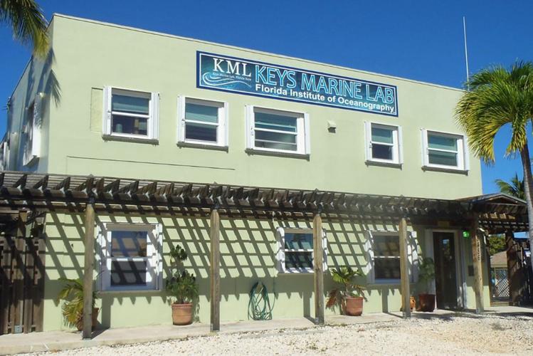 Keys Marine Lab to undergo 60M facelift Local News