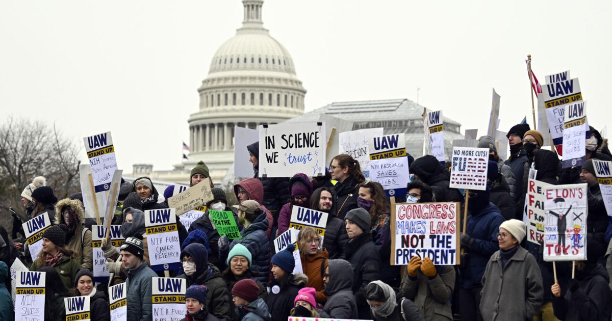 Scientists have lost their jobs or grants in US cuts. Foreign universities want to hire them