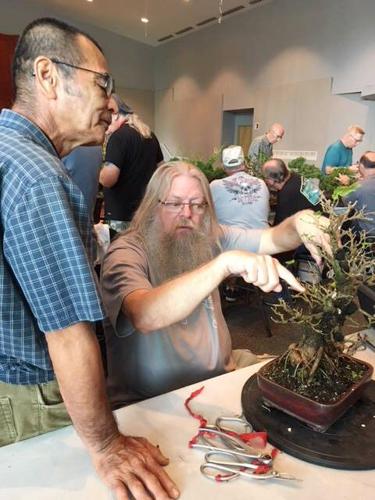 bonsai tree shop near me Bonsai 101
