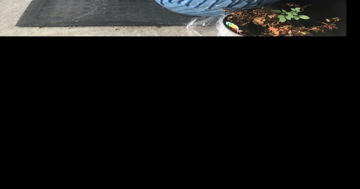 Put a potted plant on your porch