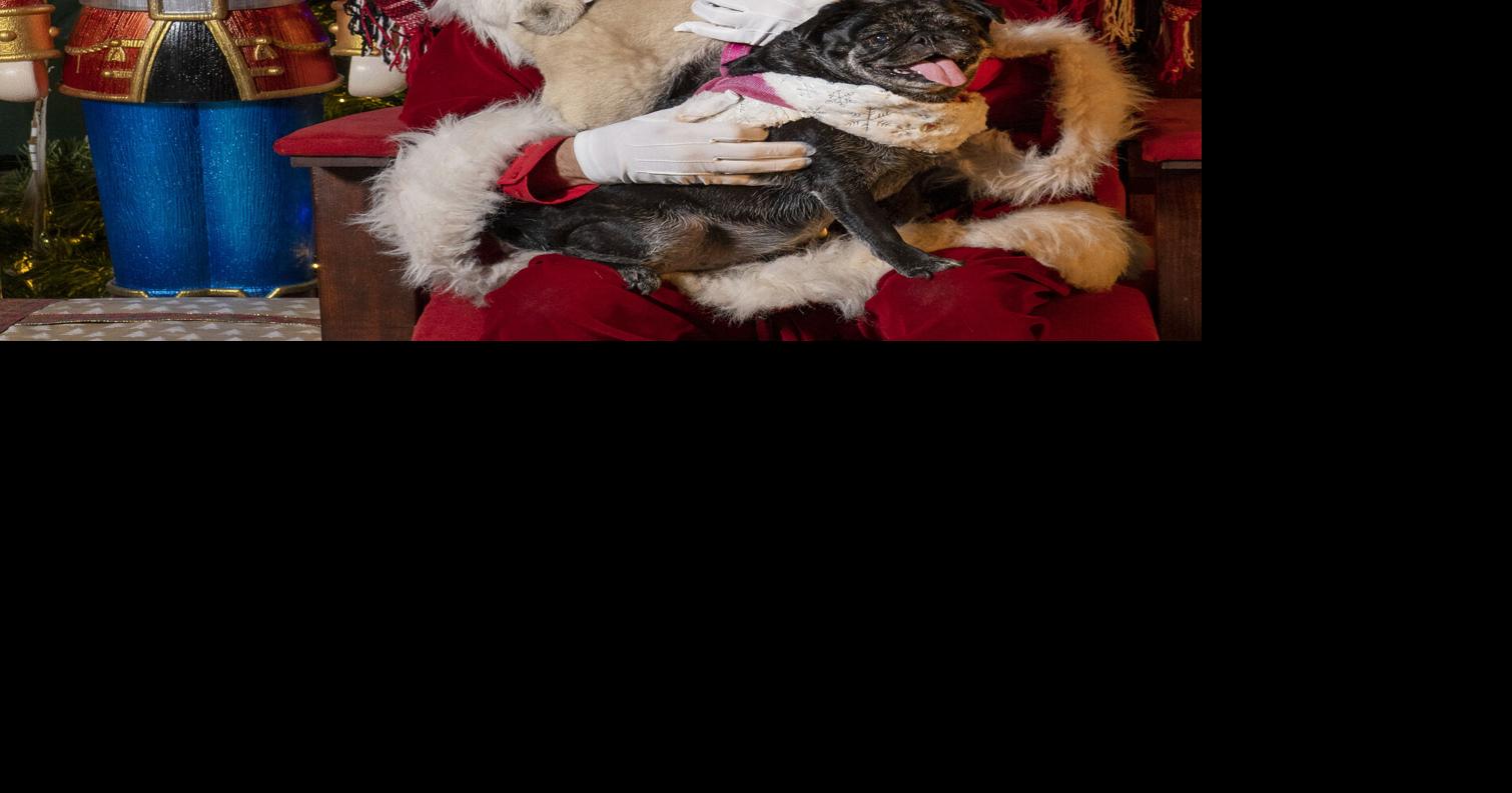 Sunshine, Santa and seasonal cheer: Key West Holiday Fest Kicks off Nov. 26