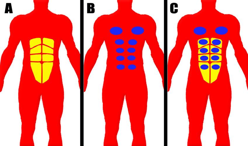 getting-a-six-pack-and-genetics-columns-keysnews