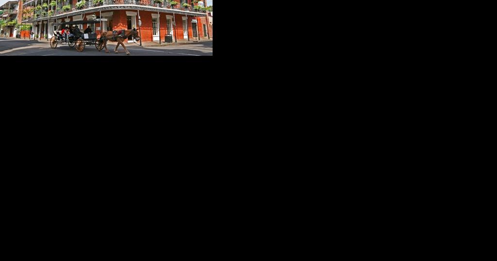 CFK Foundation hosts auction - Vimarsana News