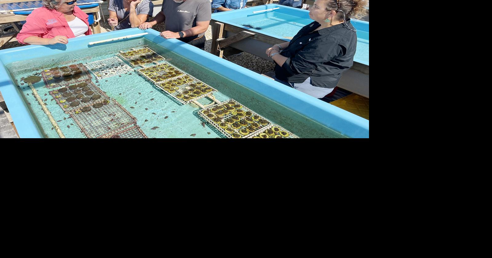 Layton marine laboratory shares mission, projects | Local News ...