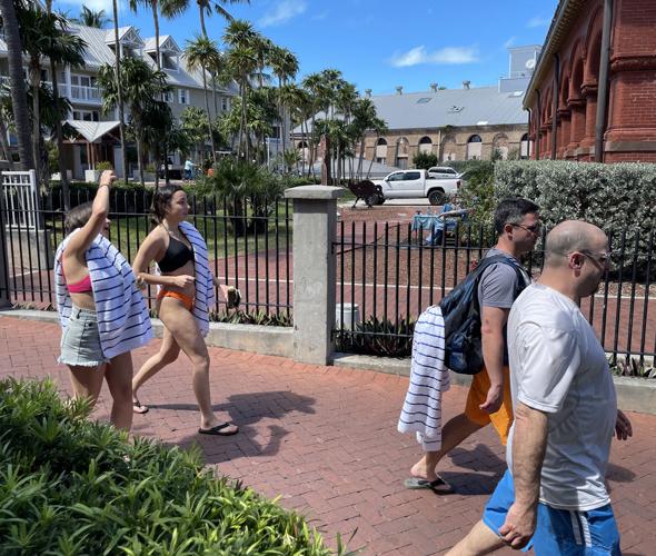 Key West no longer enforcing mask regulation | Local News | keysnews.com