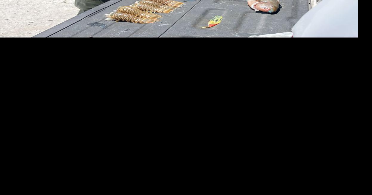 Man charged with lobster violations | Middle Keys | keysnews.com