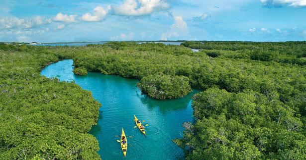 Paddle Day event set at Pennekamp State Park