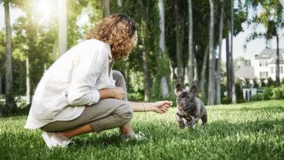 5 vet-approved ways you can help your dog during allergy season