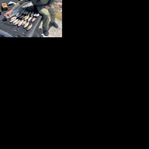 Two cited in fish cases | Crime | keysnews.com