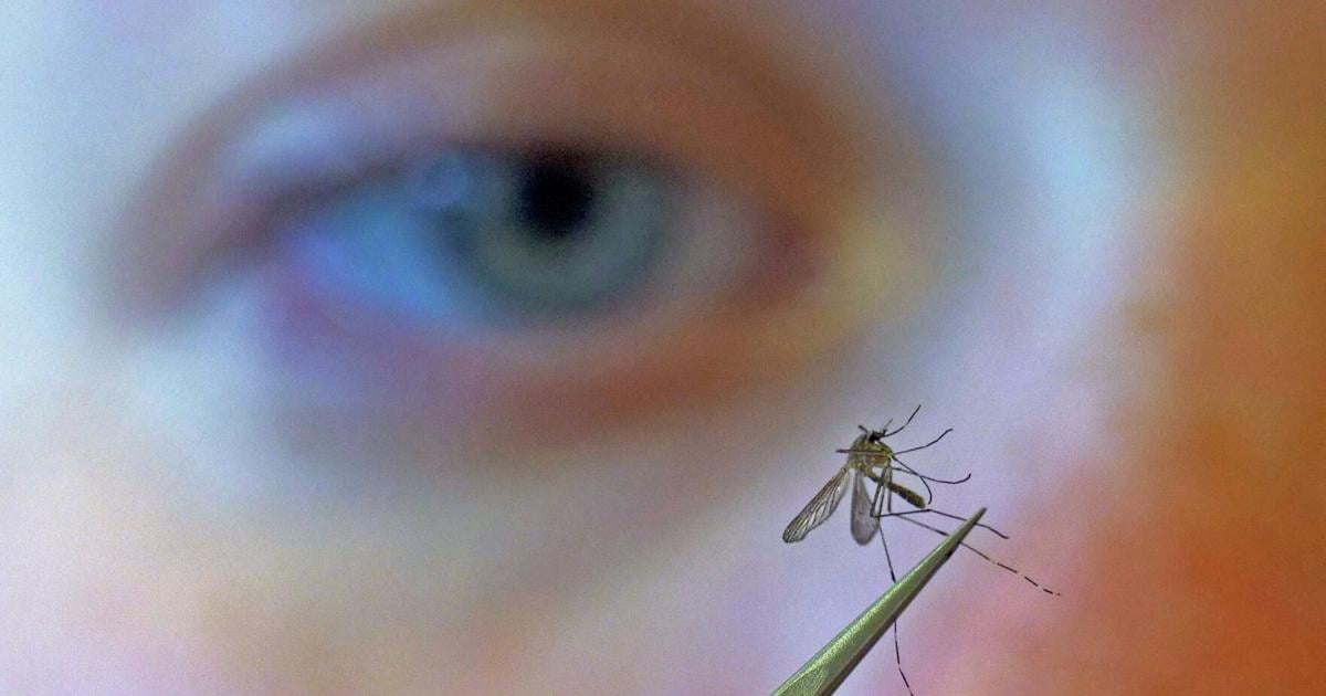 West Nile Virus