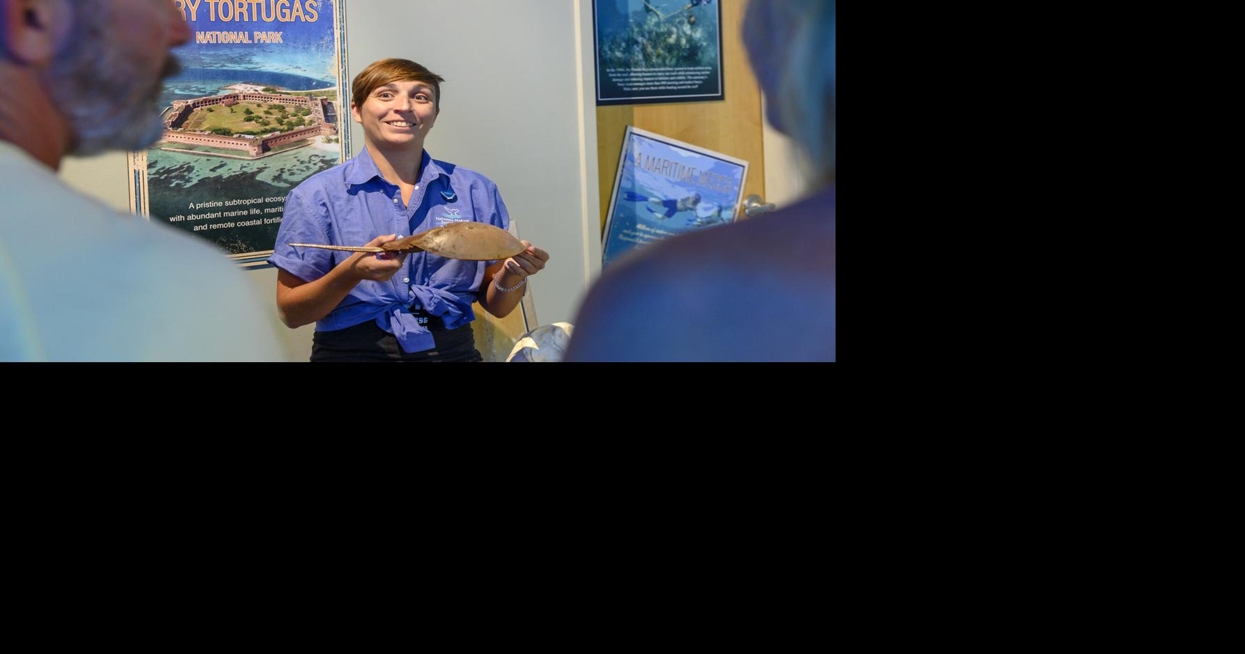 Florida Keys Eco-Discovery Center earns top honors | Local News ...