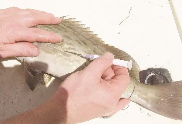 5 things to know about reef fishing | Fishing | keysnews.com