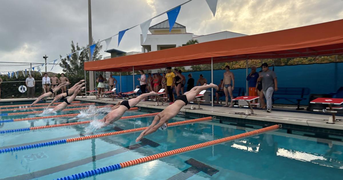 Sign Lesson Cartoon Swimming lessons in Key West and Key Largo | Local News | keysnews.com