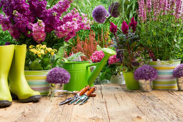 Gardening tools and flowers on the terrace in the garden