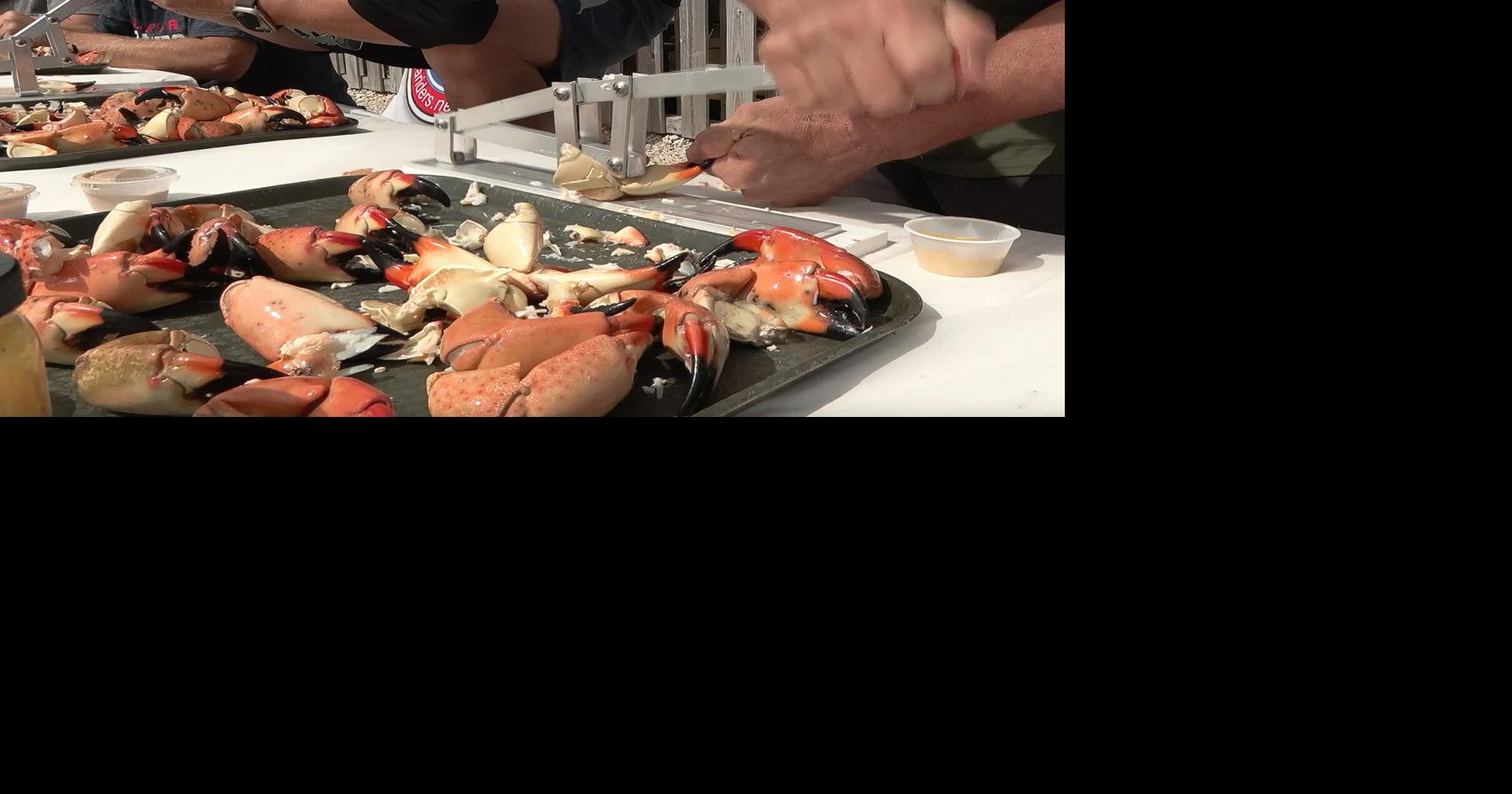Stone Crab Eating Contest News