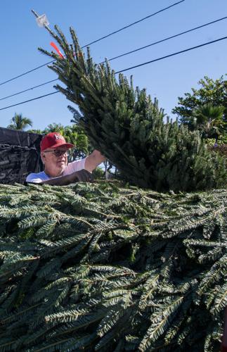 Tree Lot tree lot | Community | keysnews.com