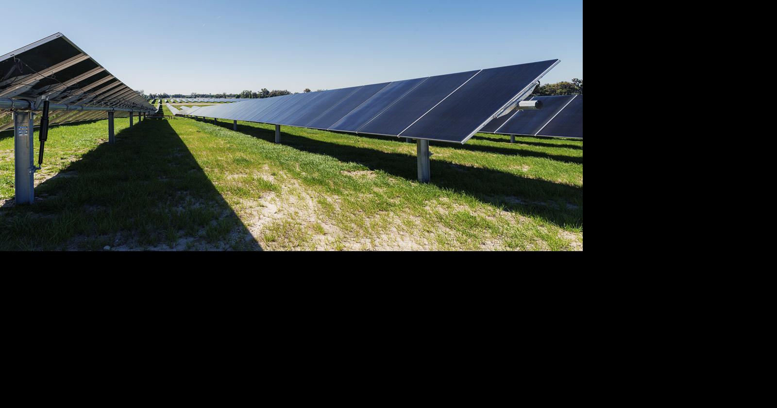 KEYS solar powers 13.5% of local energy needs | Bottom Line | keysnews.com