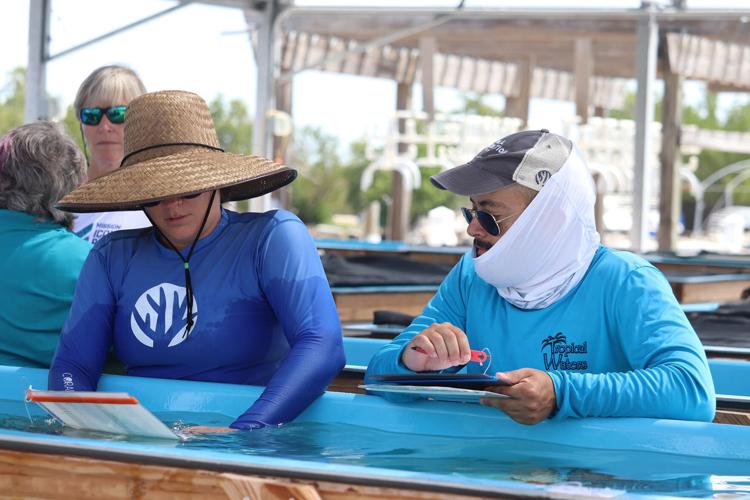 Keys Marine Lab to undergo 60M facelift Local News