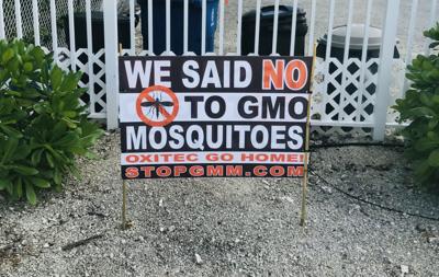 GMO sign