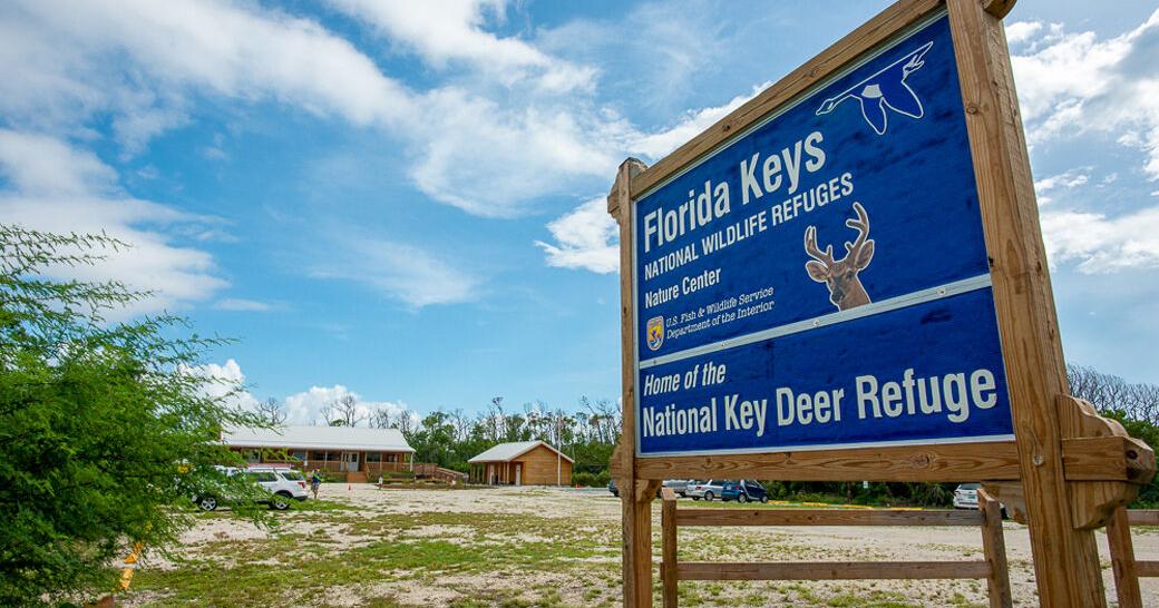Fish and Wildlife Service lost 36% of staff since 2024, group says