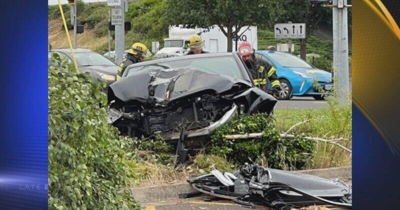 Car crashes into tree in Springfield | Local | kezi.com