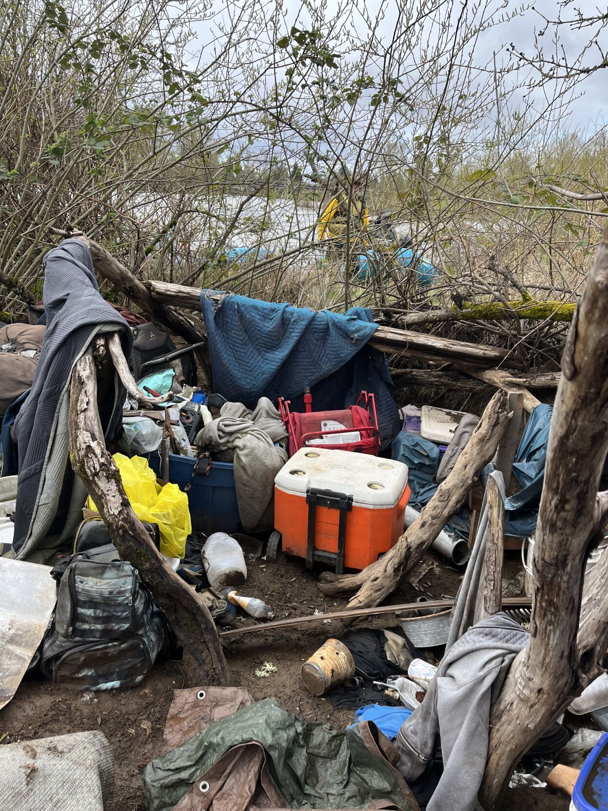 Kezi'S Urgent Report: A National Emergency? - u7r8353