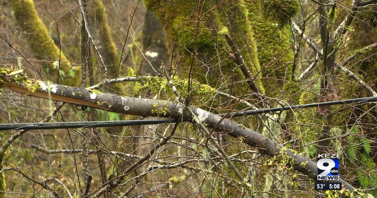 Downed phone lines cause community concern | Video | kezi.com