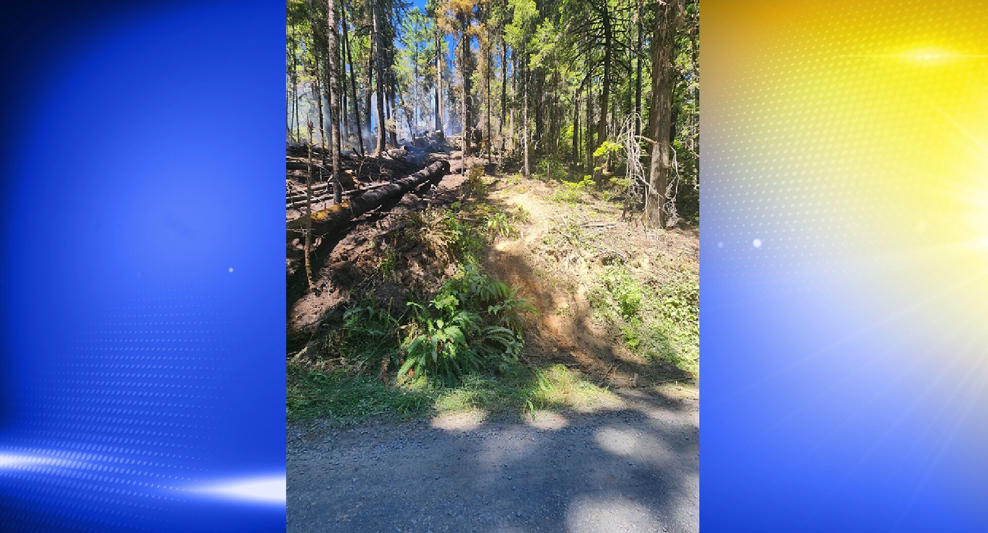 Douglas County fire crews respond to vehicle fire that escaped into ...
