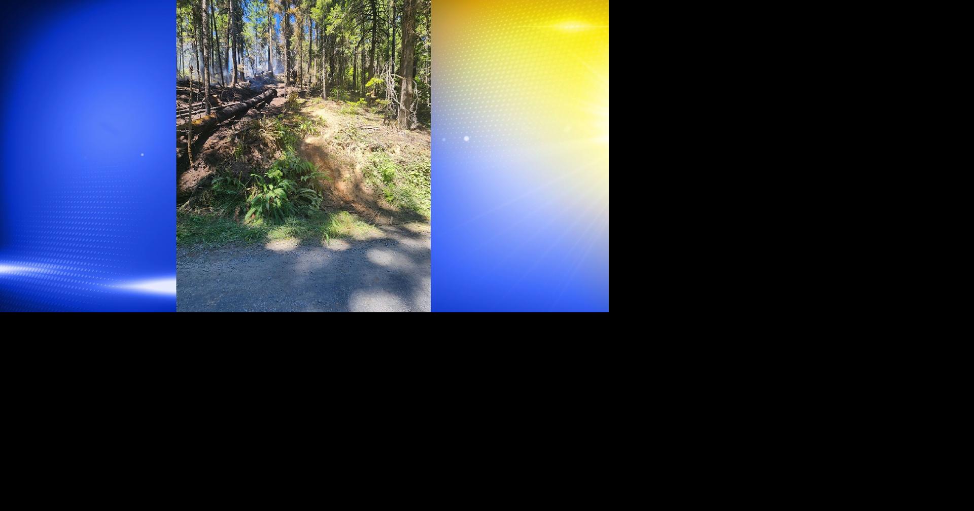 Douglas County fire crews respond to vehicle fire that escaped into ...