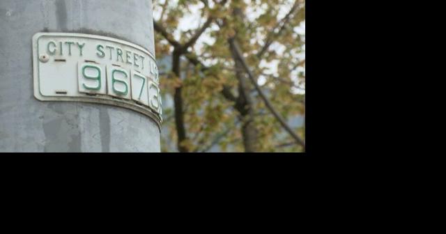 Second round of leaf pick-up in Eugene to begin - Vimarsana News