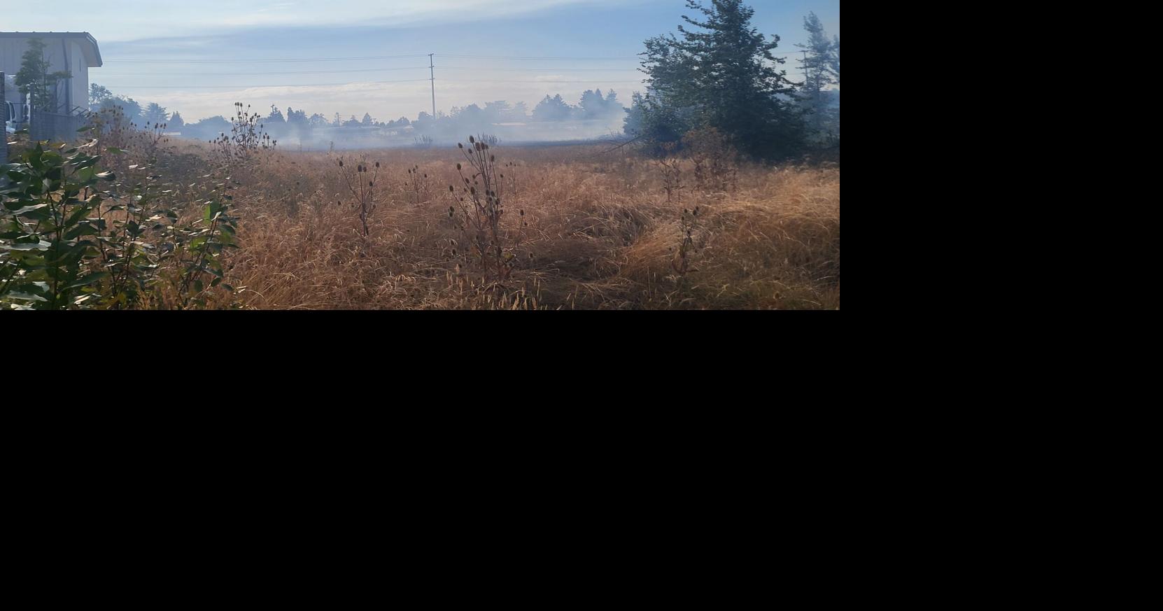 Springfield firefighters respond to brush and structure fire near ...