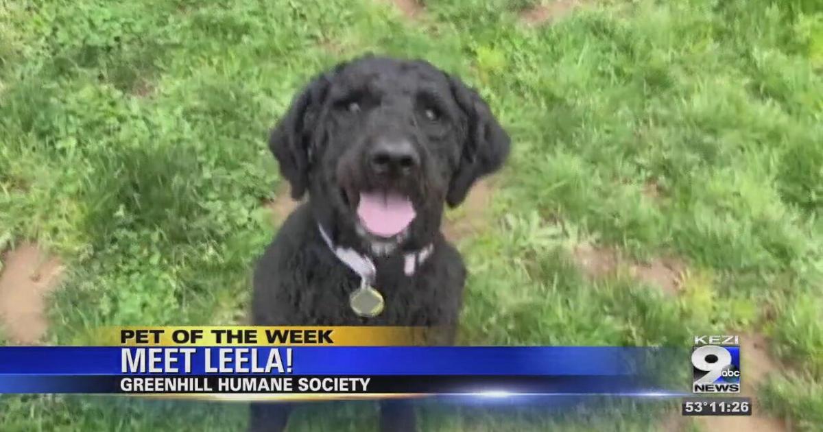Pet of the Week Leela Video
