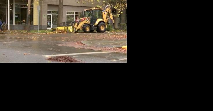City of Eugene announces second round of street side leaf collection - Vimarsana News