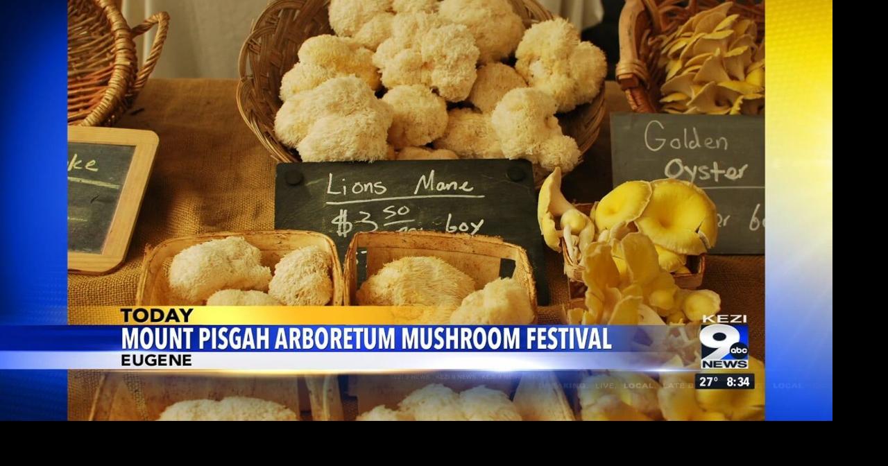 Annual Mushroom Festival returns to Eugene Video