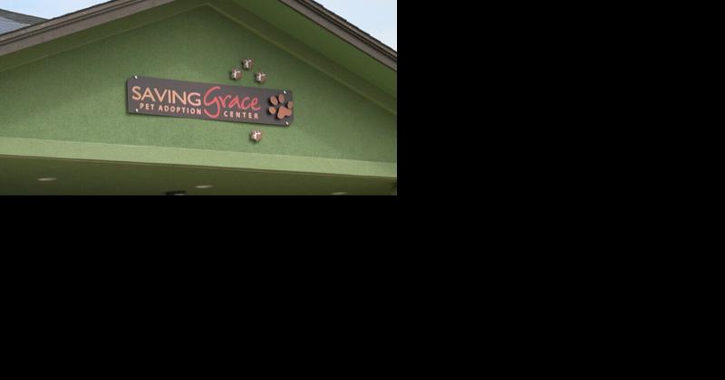Roseburg pet adoption center encourages adoptions with "Empty the Shelters" event | News - Vimarsana News