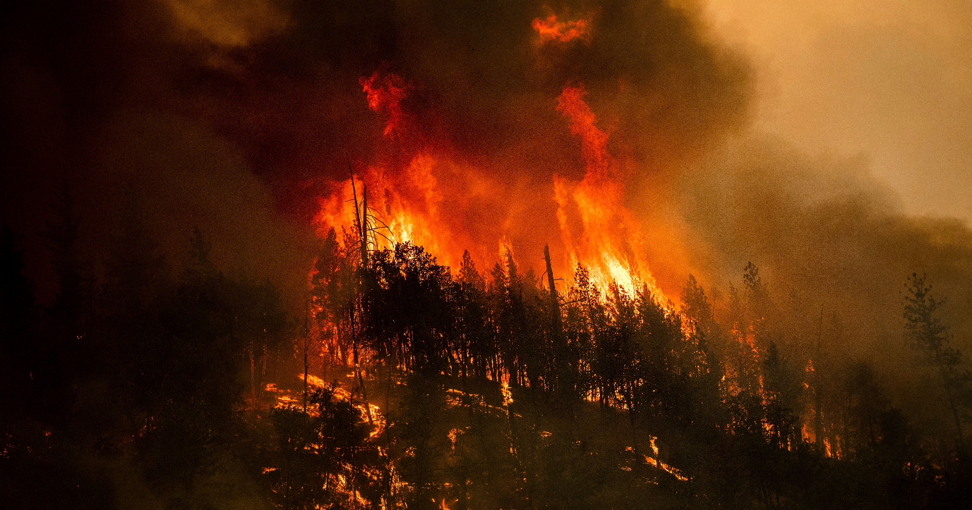 Oregon lawmaker escapes deadly McKinney Fire in Northern California - Vimarsana News