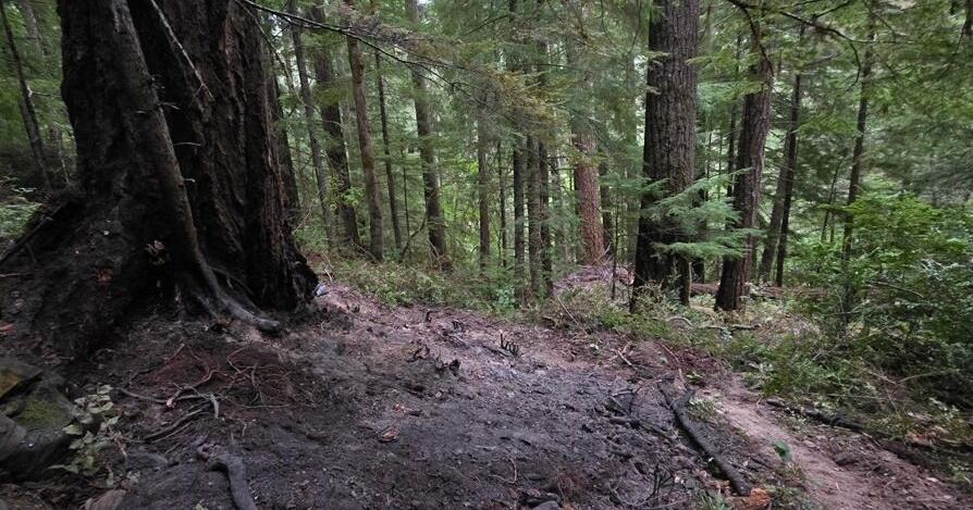 Final mop-up underway for lightning-caused fires in Douglas County ...
