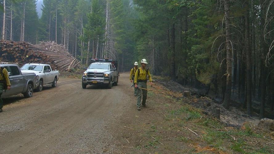 Crews work to find hazard trees as Cedar Creek Fire burns News