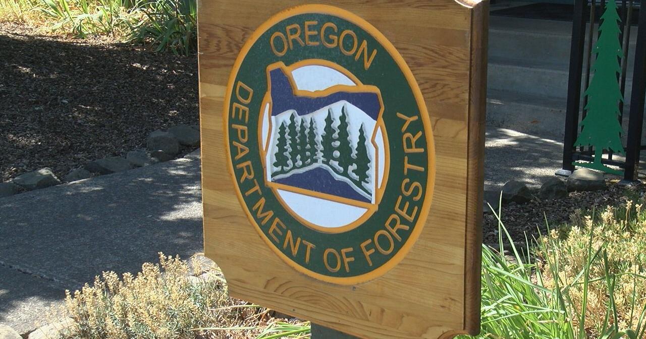 Lane, Benton counties to receive ODF wildfire prevention funding - Vimarsana News