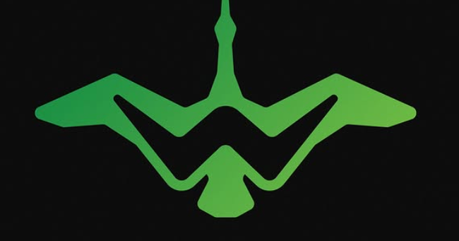 Oregon Athletics debuts GoDucksW for women's sports visibility