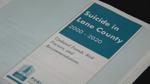 'Suicide in Lane County 2000-2020: Updated Trends, Risk Factors, and Recommendations'
