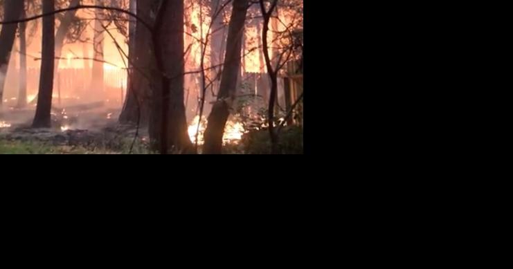State fire marshal encourages Oregonians to create defensible space for wildfire protection - Vimarsana News
