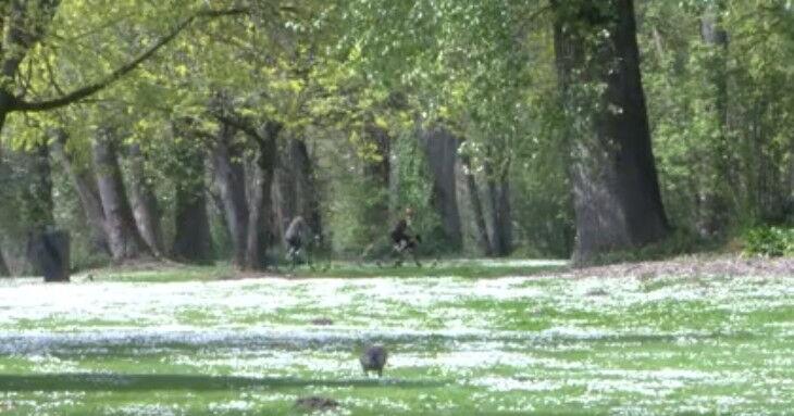 69d6a77d20835.image.jpg?crop=730,383,0,8