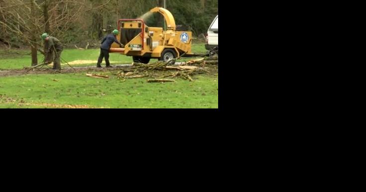 Willamalane parks closed as work crews continue clearing ice storm hazards - Vimarsana News